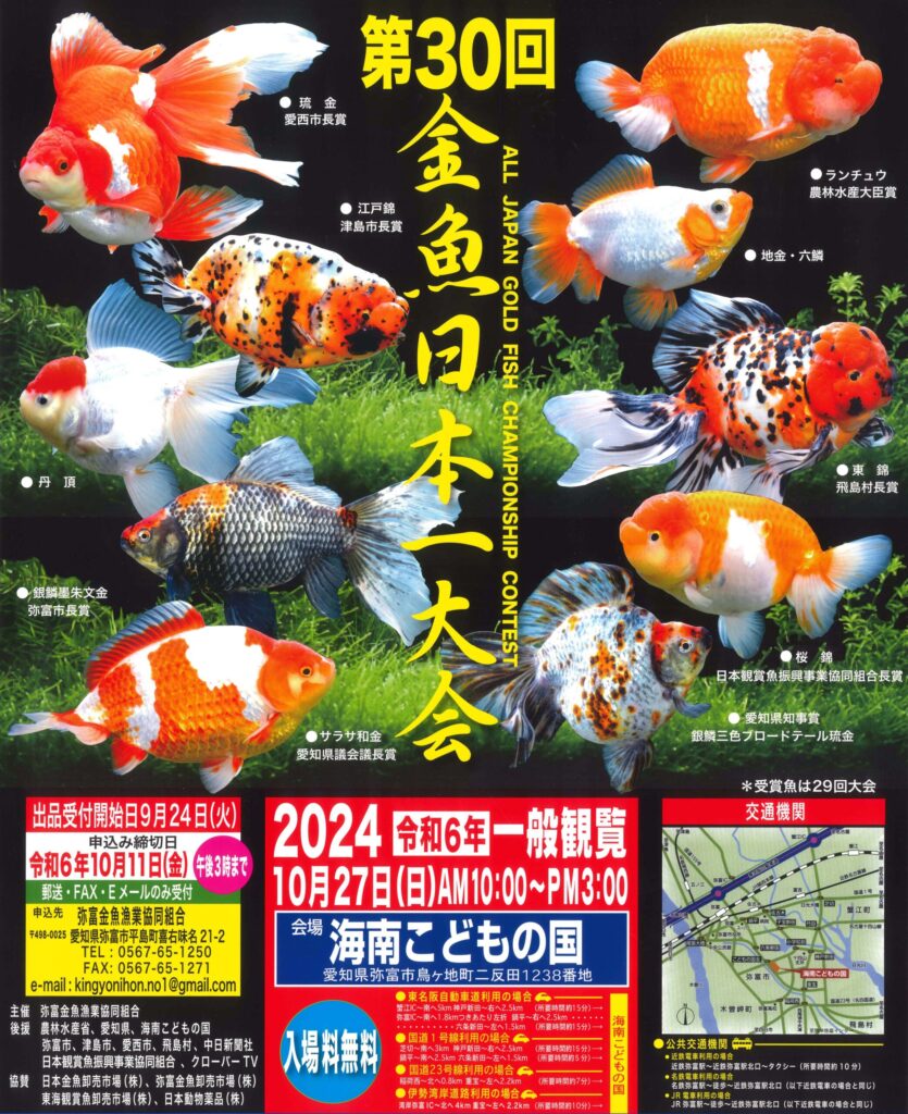 金魚日本一大会 チラシ