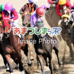 競馬のイメージ