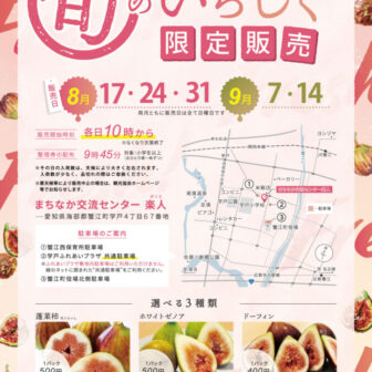 旬のいちじく限定販売　チラシ