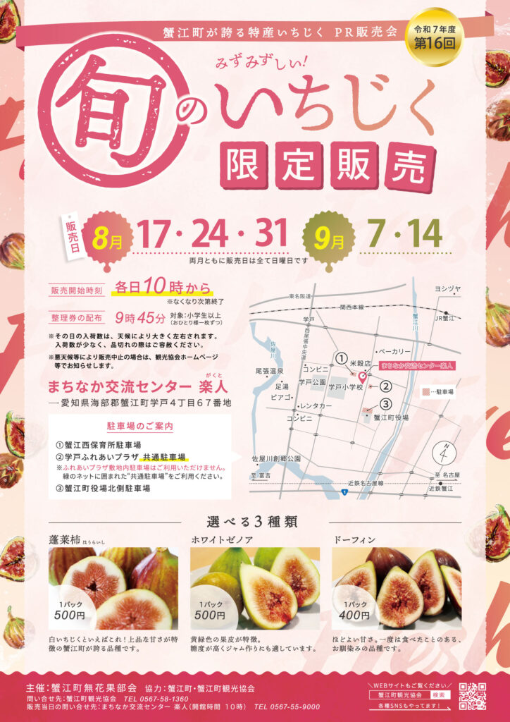 旬のいちじく限定販売 チラシ