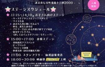 天の星空映画祭 チラシ