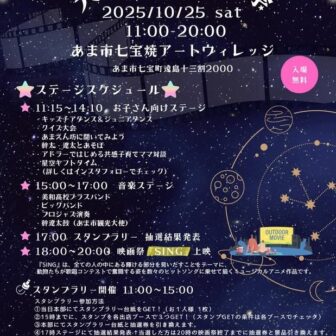 天の星空映画祭 チラシ