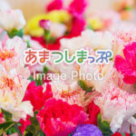 花屋のイメージ