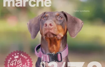 【R8.3/7(土)8(日)】wandarake marche 47&48　チラシ