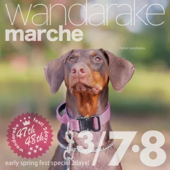 【R8.3/7(土)8(日)】wandarake marche 47&48　チラシ