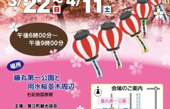 【R8.3/22(日)～4/11(土)】夜桜ライトアップ チラシ