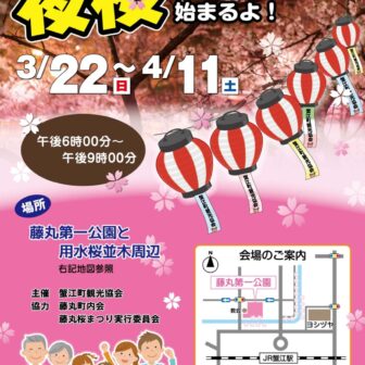 【R8.3/22(日)～4/11(土)】夜桜ライトアップ チラシ
