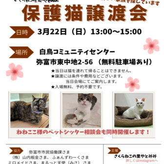 【R8.3/22(日)】保護猫譲渡会 チラシ