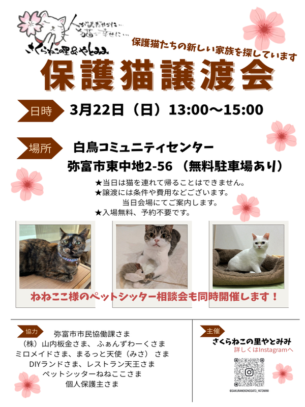 【R8.3/22(日)】保護猫譲渡会 チラシ