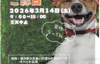 【R8.3/14(土)】わんことご縁日 ふれあいの⾥HASUパーク チラシ