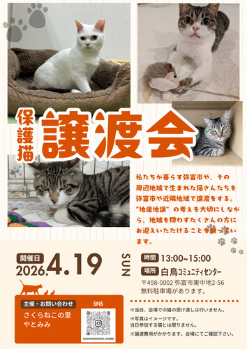 【R8.4/19(日)】保護猫譲渡会 チラシ