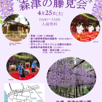 【R8.4/25(土)】森津の藤 藤見会 チラシ