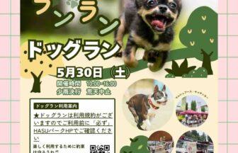 【R8.5/30(土)】DOG DAYS in HASU PARK チラシ
