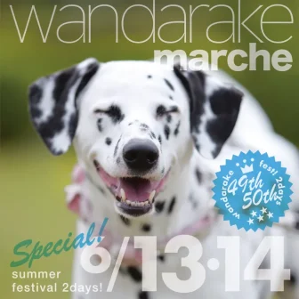 【R8.6/13(土)13(日)】wandarake marche 49&50 チラシ