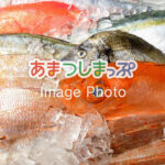 鮮魚のイメージ