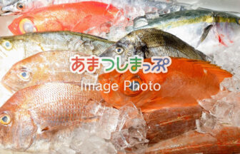 鮮魚のイメージ