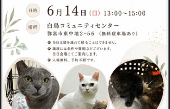 【R8.6/14(日)】保護猫譲渡会 チラシ