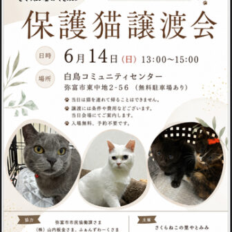 【R8.6/14(日)】保護猫譲渡会 チラシ