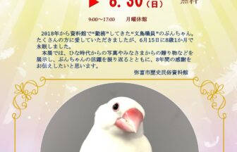 【R8.6/20(土)～8/30(日)】8年間ありがとう!!ぶんちゃん追悼回顧展　チラシ