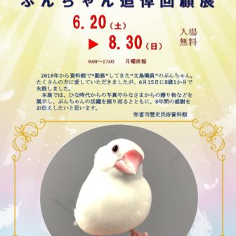 【R8.6/20(土)～8/30(日)】8年間ありがとう!!ぶんちゃん追悼回顧展　チラシ