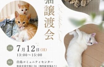 【R8.7/12(日)】保護猫譲渡会