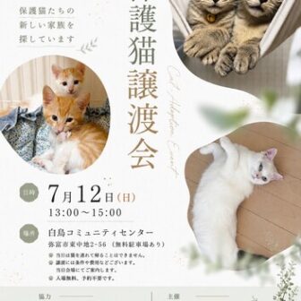 【R8.7/12(日)】保護猫譲渡会