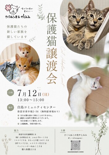 【R8.7/12(日)】保護猫譲渡会