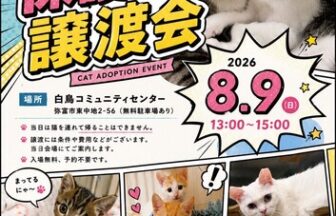 【R8.8/9(日)】保護猫譲渡会　チラシ