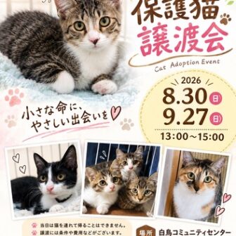 【R8.9/27(日)】保護猫譲渡会　チラシ