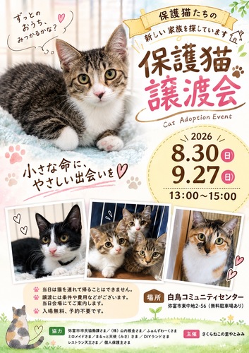 【R8.9/27(日)】保護猫譲渡会　チラシ
