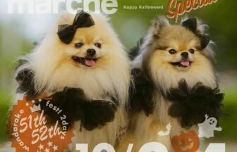 【R8.10/3(土)4(日)】wandarakre 51&52（わんだらけマルシェ）