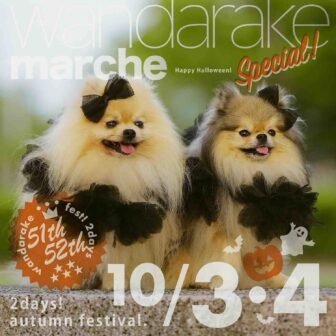 【R8.10/3(土)4(日)】wandarakre 51&52（わんだらけマルシェ）