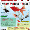 金魚まつり　チラシ