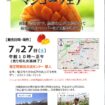 沖縄県読谷村産マンゴーフェアチラシ