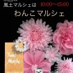 甚目寺観音風土マルシェ -わんこマルシェ-