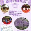 【R8.4/25(土)】森津の藤 藤見会 チラシ