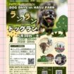 【R8.5/30(土)】DOG DAYS in HASU PARK チラシ