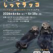 【R8.6/6(土)～6/28(日)】市民展 みてラッコ しってラッコ　チラシ
