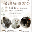 【R8.6/14(日)】保護猫譲渡会 チラシ