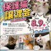 【R8.8/9(日)】保護猫譲渡会　チラシ
