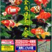 第32回金魚日本一大会チラシ